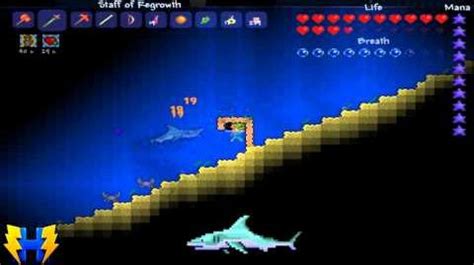 how to get sharks to spawn terraria|are sharks hardmode terraria.